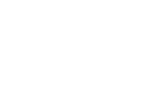 Logotype_Telsi_Consulting_blanc_HD